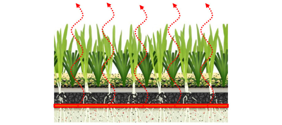 Hybrid Turf
